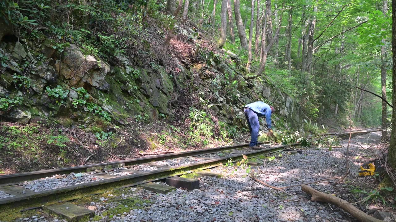 Doe River Gorge Railroad Summer Labor 2023 Sped Up X100 2023 7-16-7-22