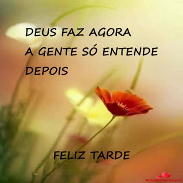 Deus faz agora, a gente só entende depois, Feliz tarde!