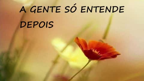 Deus faz agora, a gente só entende depois, Feliz tarde!