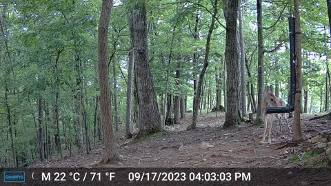 The Woods – 09/18/2023