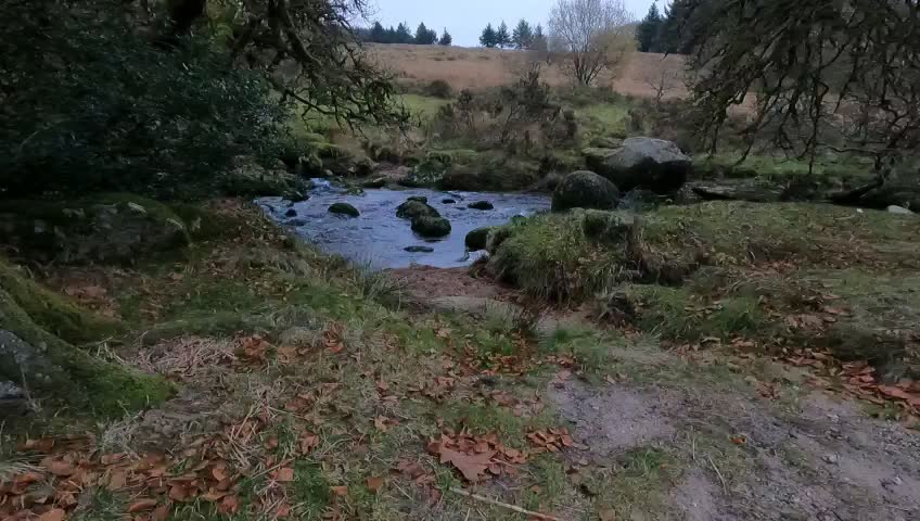 Nice flowing river .