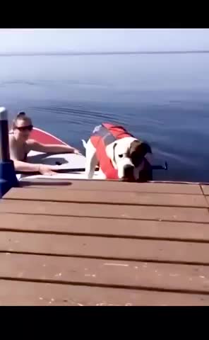 I didn't expect it to climb to hard!