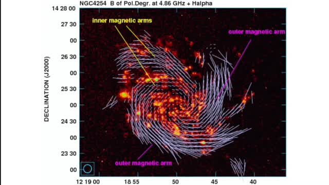 Galactic Magnetic Fields