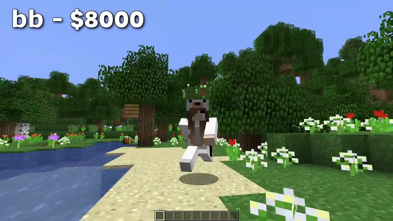 The Story Behind the Most Expensive Minecraft Accounts