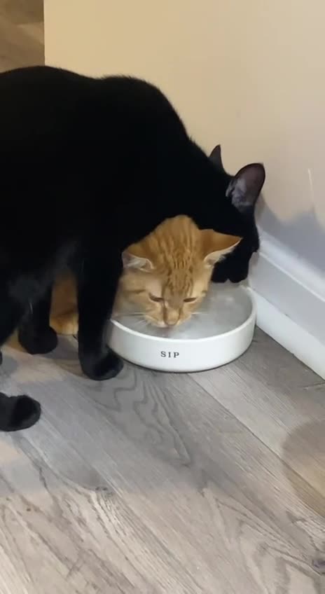 That’s pretty possessive if you ask me