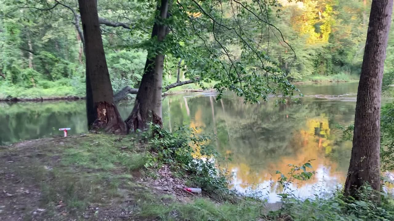 Madam Brett Park & Marsh Trail (Beacon, NYS) 6