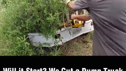 Clear the branches growing on the truck.