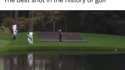 Golf best shot ever