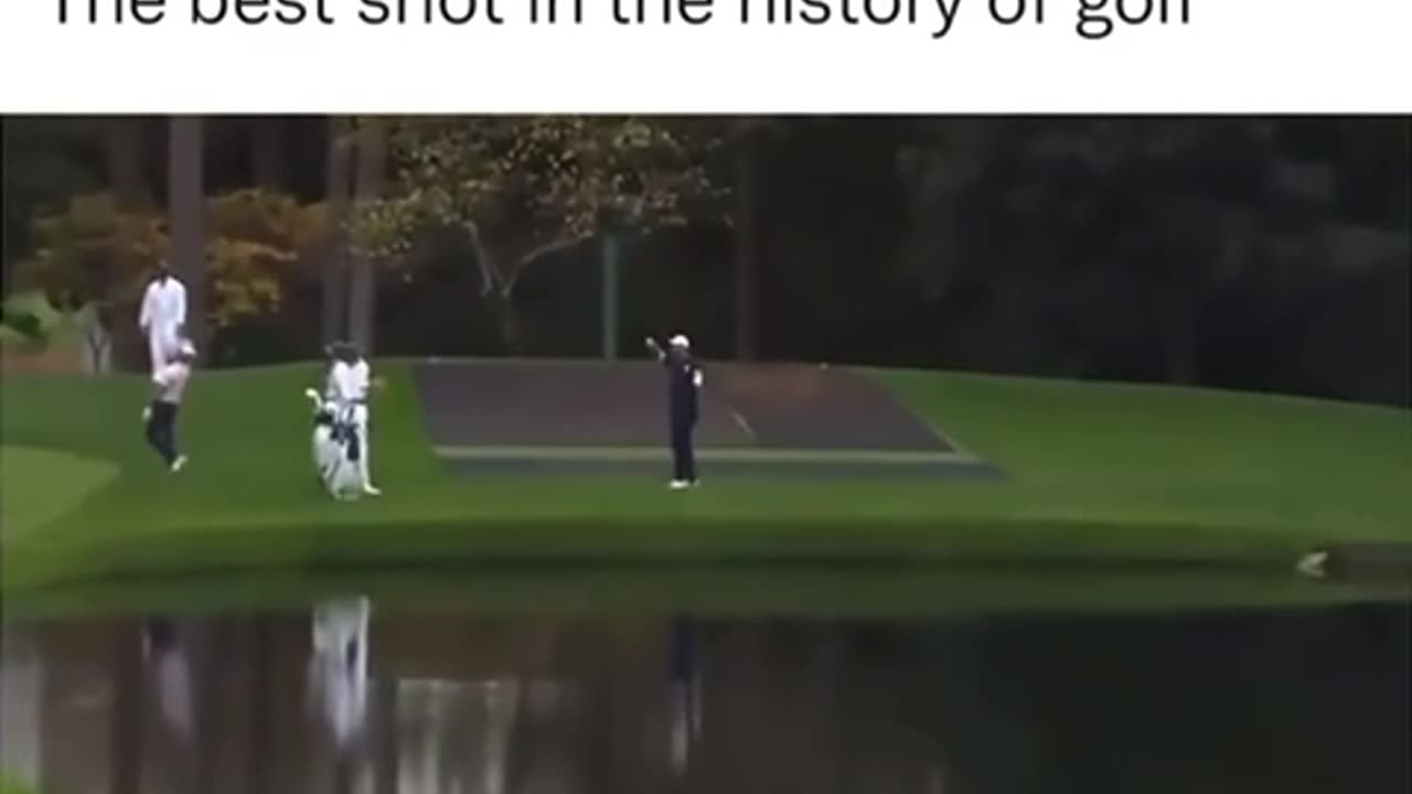 Golf best shot ever