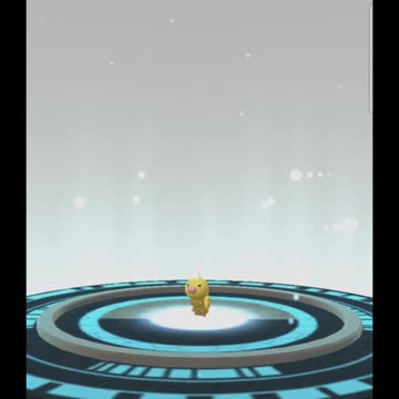 Pokémon GO-Evolving Shiny Weedle