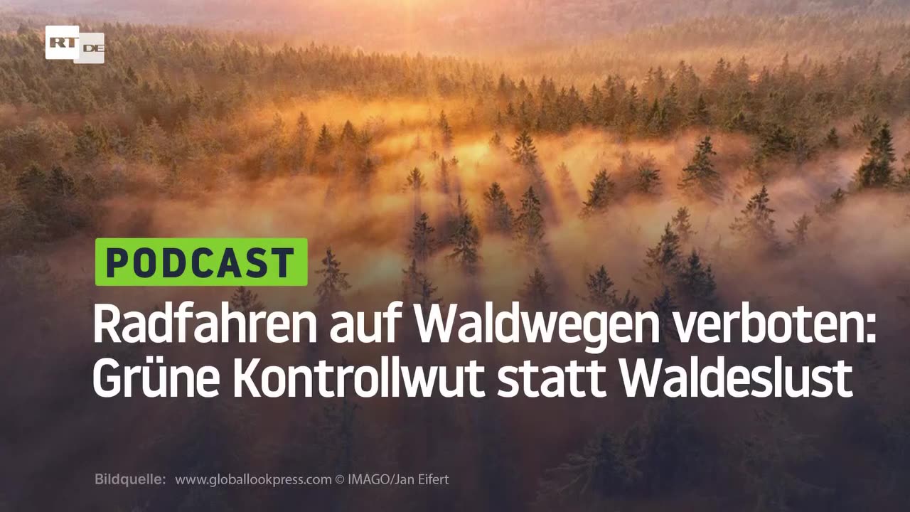 Radfahren auf Waldwegen verboten: Grüne Kontrollwut statt Waldeslust