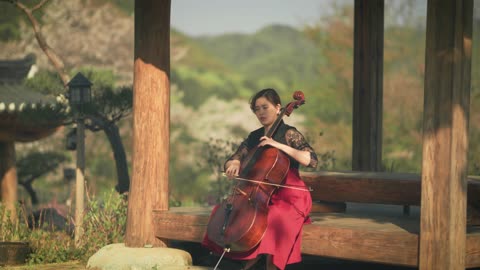 Asian Beauty Cello 21