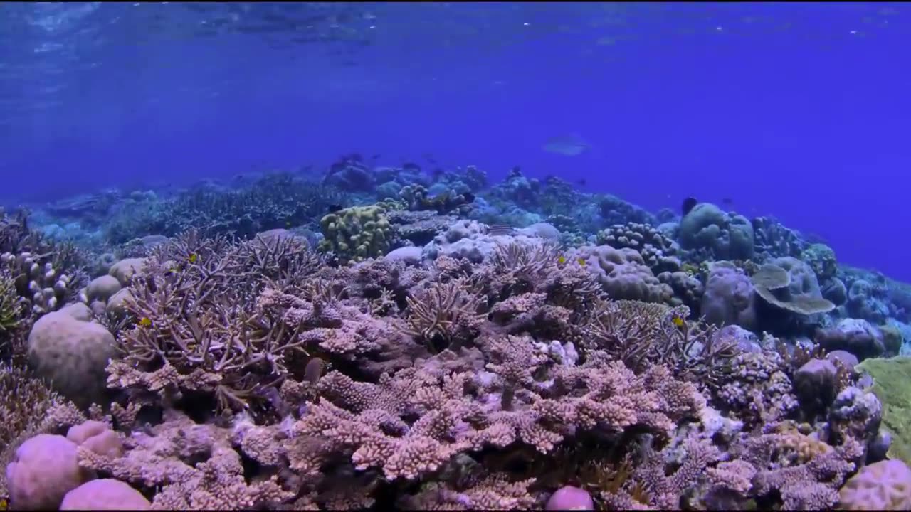 Beautiful Mother Earth