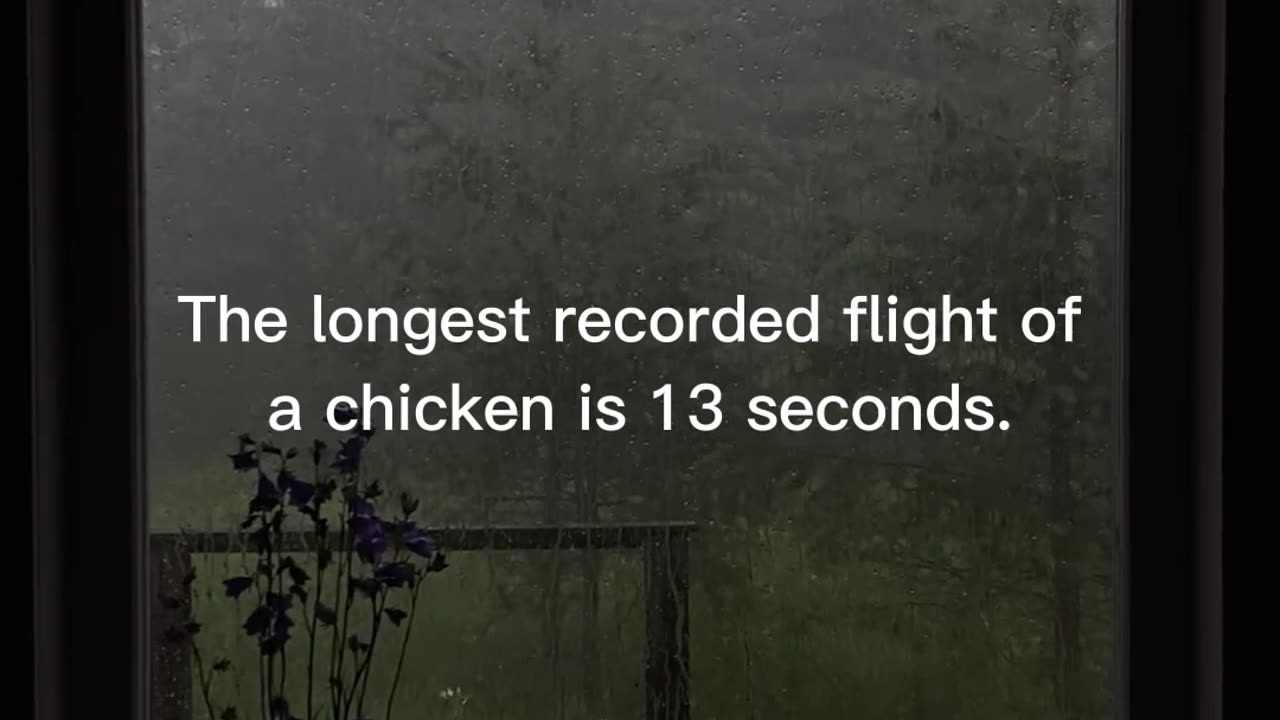 Amazing Facts #3