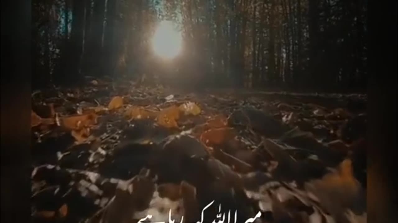 Mulana tariq Jameel sb short video