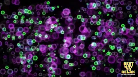 30 Minute Vibrant Bubbles Chill Music Background