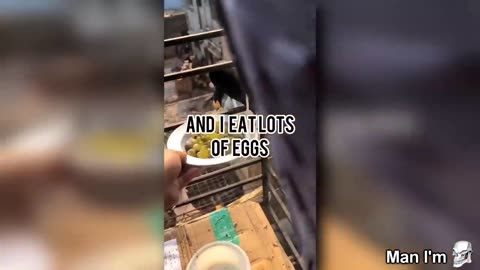 friday night funny videos