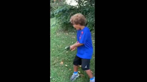 Funny Animals Videos