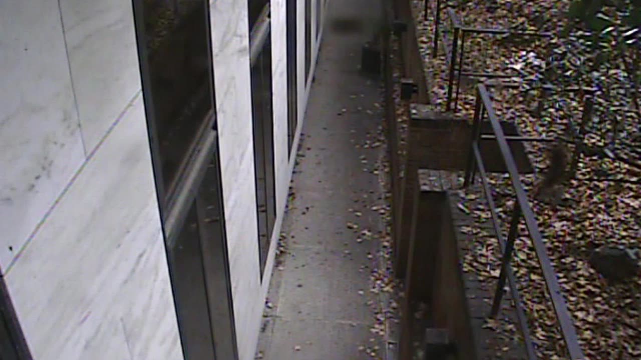 1457HSOB01GroundSoutheast_2021-01-06_12h21min52s337ms.asf