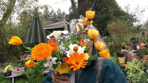 1st week of Spring Garden-Blooms! Sometimes we just need a little HAPPY! //Wisdom Collective byRena