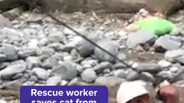 Rescue worker saves cat from floods in Pakistan