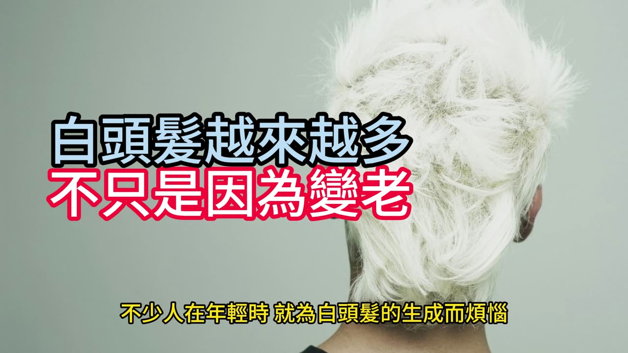 白頭髮越來越多 不只是因為變老