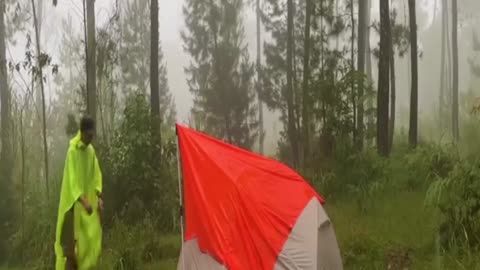 camping in the rain solo camping nature sounds
