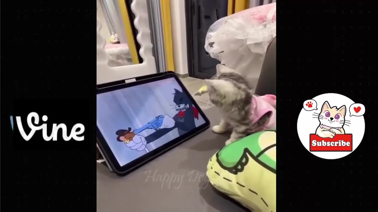 Best Funny Animal Videos Of The 2023 π€£ - Funniest Cats And Dogs Videos πΊπππΆ Funny cat & dog videos π