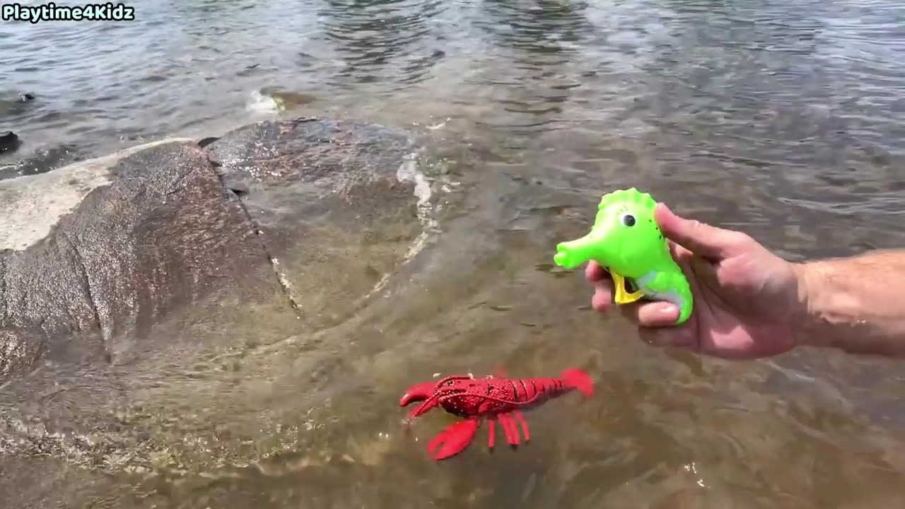 Sea Animal Toys This Summer at the Shore