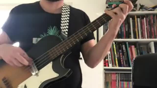 The CovSession#11 Calexico - Stray Bass Cover