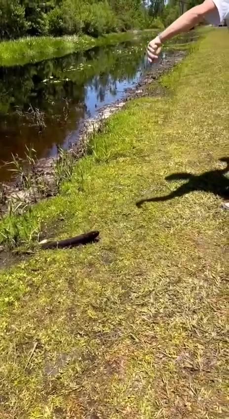 Fishing in the South