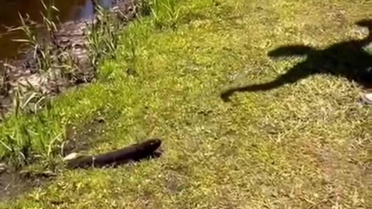 Fishing in the South