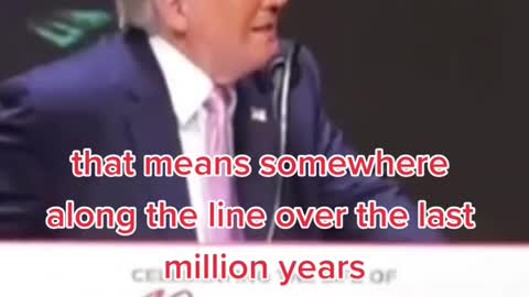 The nicknames. President Trump.