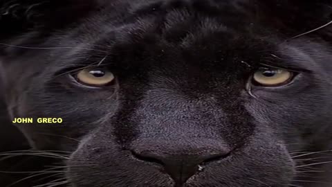 #ΠΑΡΑΞΕΝΕΣ... ΘΕΑΣΕΙΣ... ΣΥΝΕΧΕΙΑ !!👀👆👆