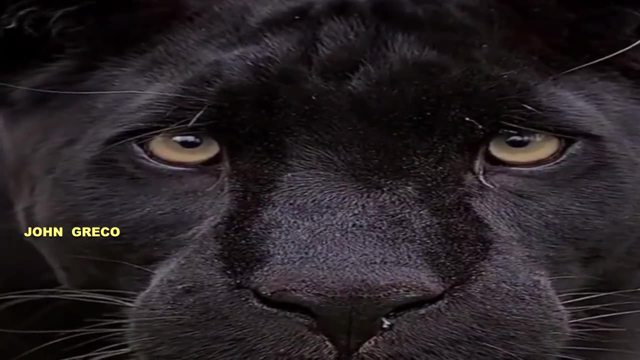 #ΠΑΡΑΞΕΝΕΣ... ΘΕΑΣΕΙΣ... ΣΥΝΕΧΕΙΑ !!👀👆👆