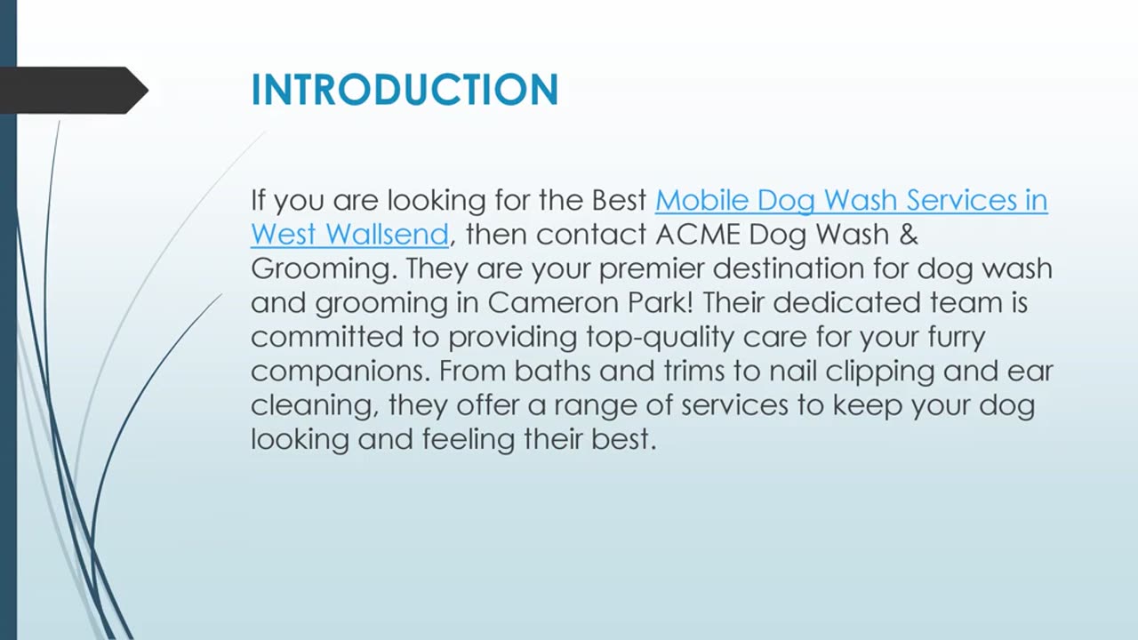 Best Mobile Dog Wash Services in West Wallsend