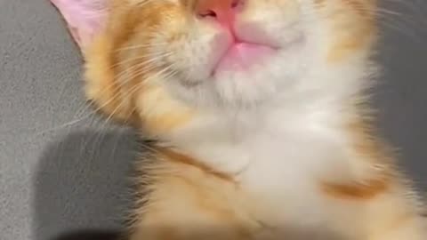 😂😂