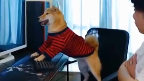 dog gamer