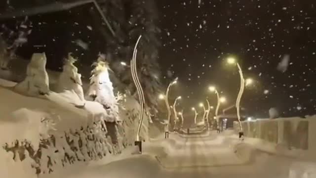 #nightview #snowview #snow #winter #sceneryvideos #scenery #beauty #tiktok #foryou