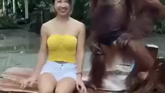 Monkeys need love too