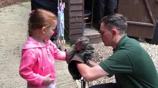 Handling an Owl at Light water Valley