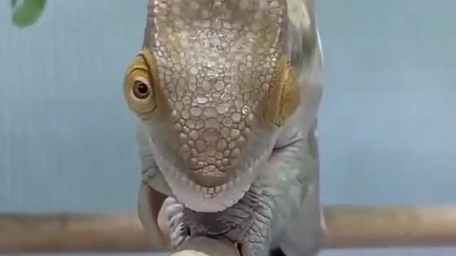 Happy to see you friend.