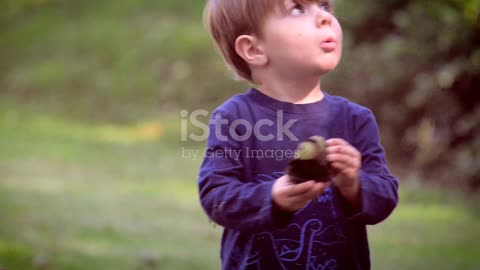Toddler & Sparrow