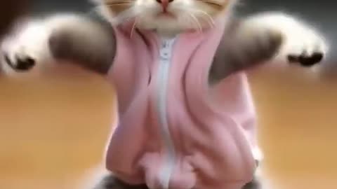 Funny cat dancing