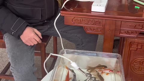 DOING WATER WARM FOR FISH
