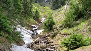 Ecosystem Olympic - Episode 4 Mountain Ecosystems - Olympic National Park