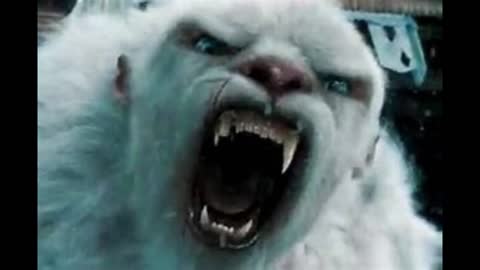 Sasquatch kills a Yeti?