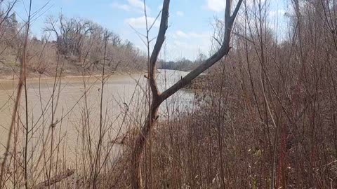 Navasota & Brazos Rivers Meet Texas