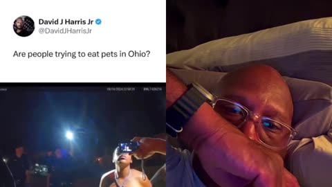 Haitians eating cats