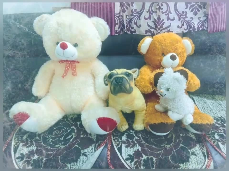 Teddy